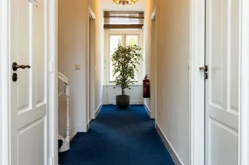 Gang met blauw tapijt, witte muren en deuren en achterin de gang een groene grote plant.